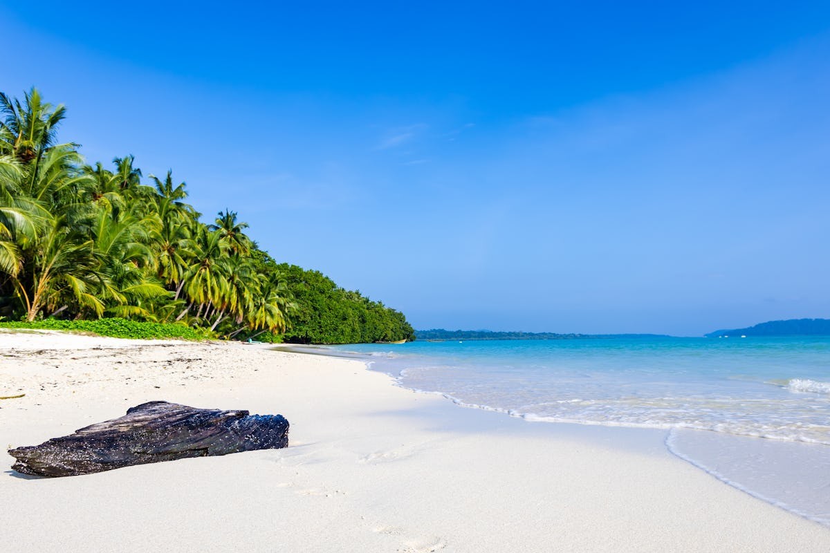 haveloc island Popular Island of Andman Nicobar Tour Package